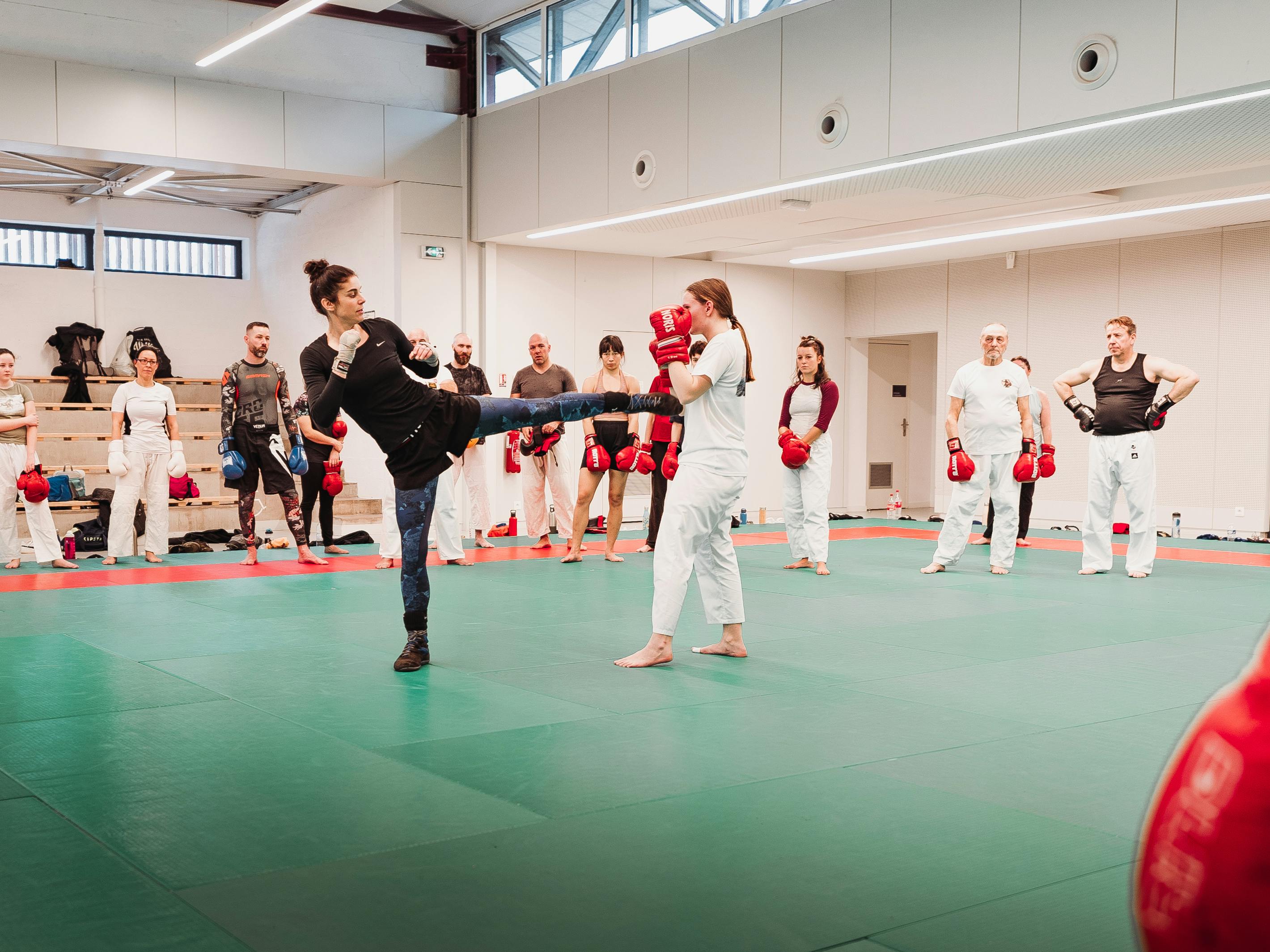 Les photos de la journée Savate boxe Française et Jujitsu Fighting, Self defense