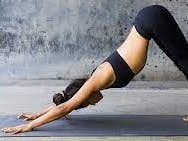 ASM-Hatha Yoga